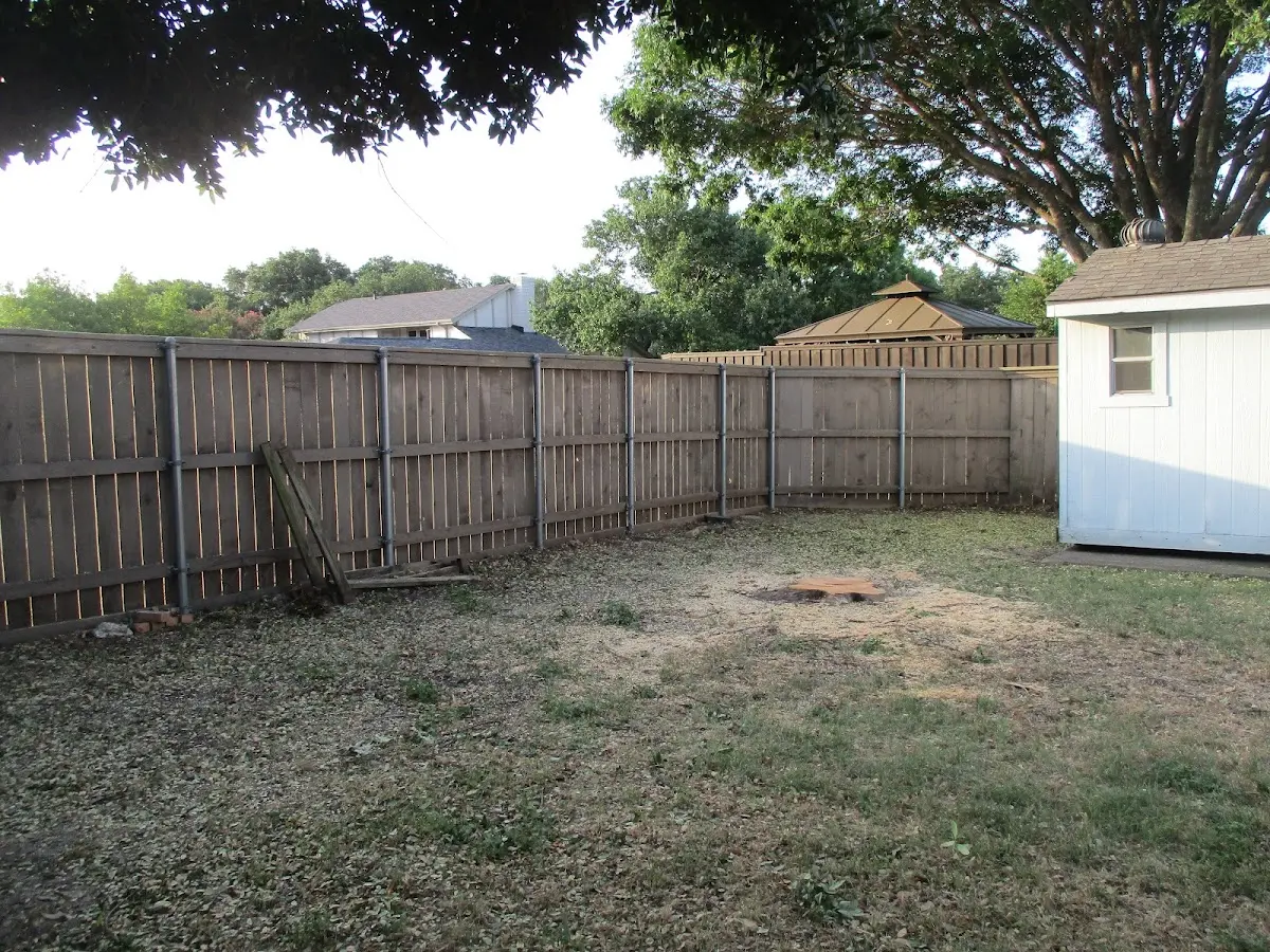 Cleared yard after professional tree removal in Bridgeview