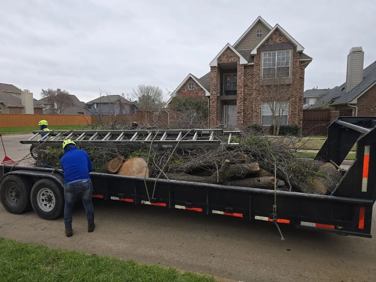 Expert Crown Reduction with proper safety equipment in Bridgeview